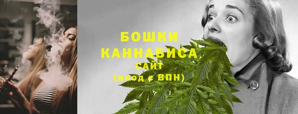 амф Арсеньев