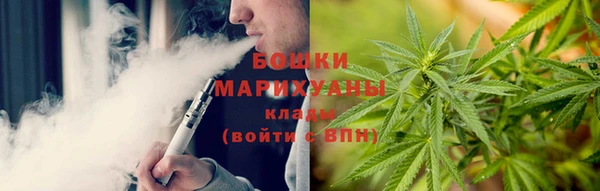 амф Арсеньев