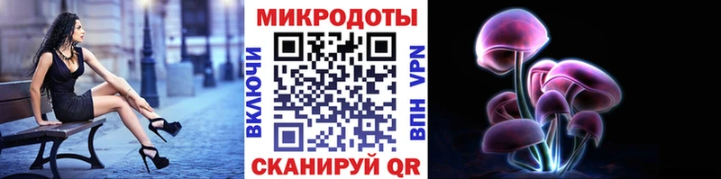 Галлюциногенные грибы GOLDEN TEACHER  Георгиевск 